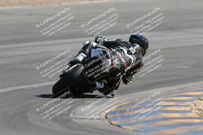 media/Mar-22-2025-CVMA (Sat) [[462c0ffedb]]/Race 12-Supersport Middleweight/